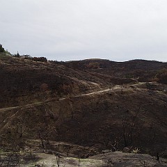 500 foot trail view after fire